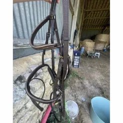 Filet marron taille cheval