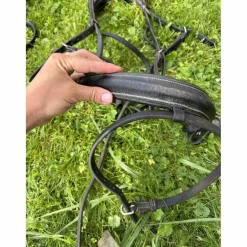 filet noir cob