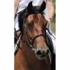 Filet noir TdeT taille COB