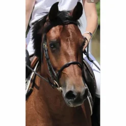 Filet noir TdeT taille COB
