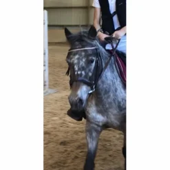Filet Norton cob