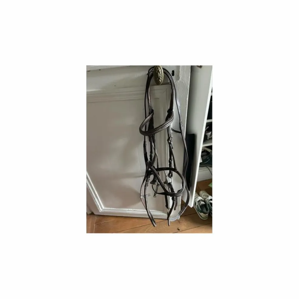 Filet Poney D mors Aiguille