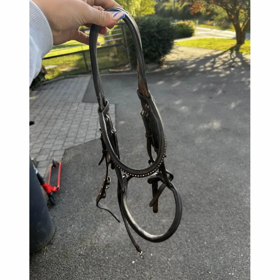filet taille poney
