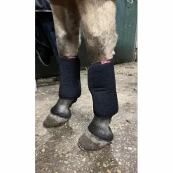 flanelle avant