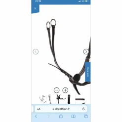 Fourche de martingale