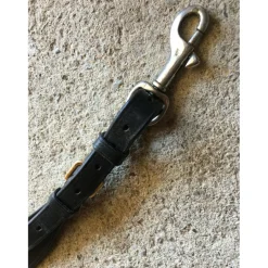 Fourche de martingale noire
