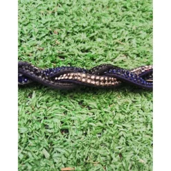 Frontal