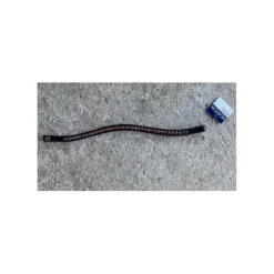 Frontal