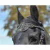 Frontal cheval