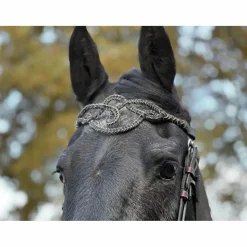 Frontal cheval