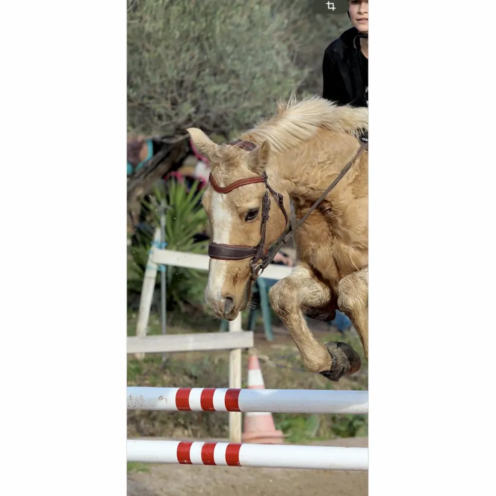 FRONTAL ERGONOMIQUE DEVOUCOUX