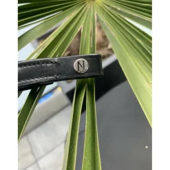Frontal Norton Club Diamond