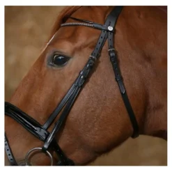 Frontal NORTON Pro Glam