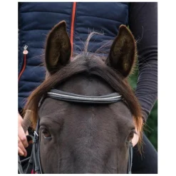 Frontal strass