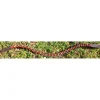 Frontal taille cheval marron