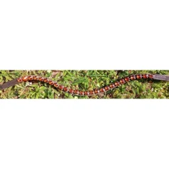 Frontal taille cheval marron