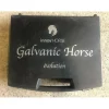 Galvanic Horse