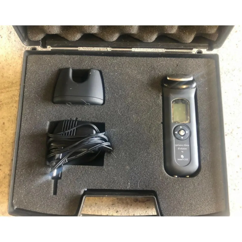 Galvanic Horse
