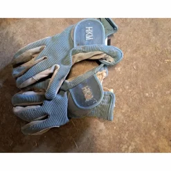 Gants