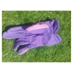 Gants