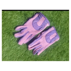 Gants