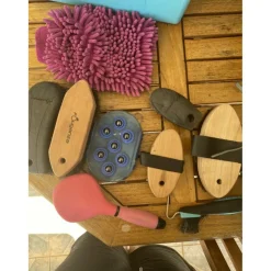 GB 500 bleue avec lot de brosses