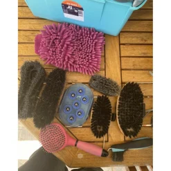 GB 500 bleue avec lot de brosses