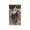 Gilet de protection equitheme