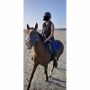 gilet de protection HKM
