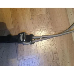 Gogue