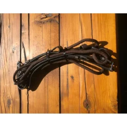 Gogue cheval