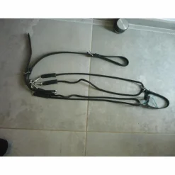 Gogue commandé à poulies