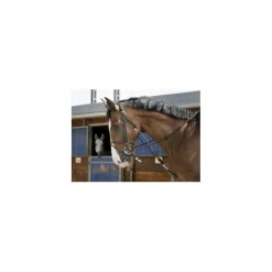 Gogue havane cheval