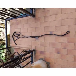Gogue noir taille cheval