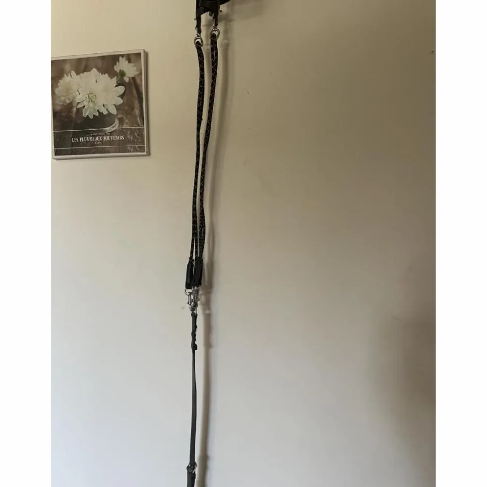 Gogue noir taille cheval