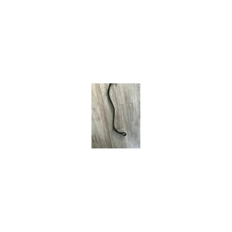 Gogue poney noir