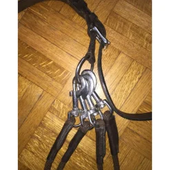Gogue Protaneur marron