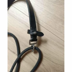Gogue taille cheval