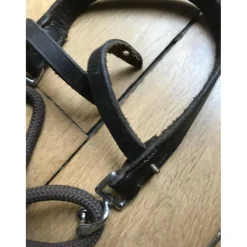 Gogue taille cheval