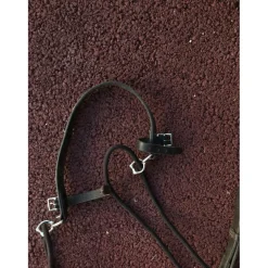 gogue taille cheval fouganza