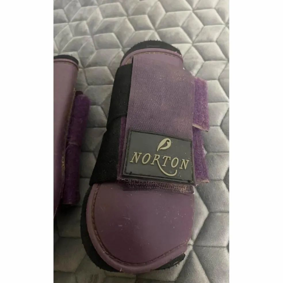 Guetre Antérieur Violette Norton