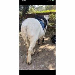 guetre cob/cheval
