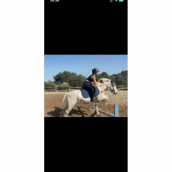 guetre cob/cheval
