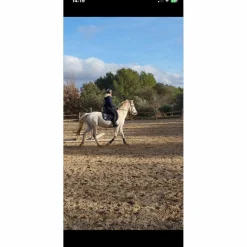 guetre cob/cheval