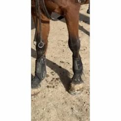 guetre taille poney