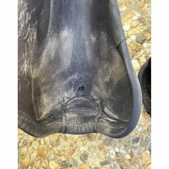 Guêtres de dressage Absolute Easy Strap Veredus