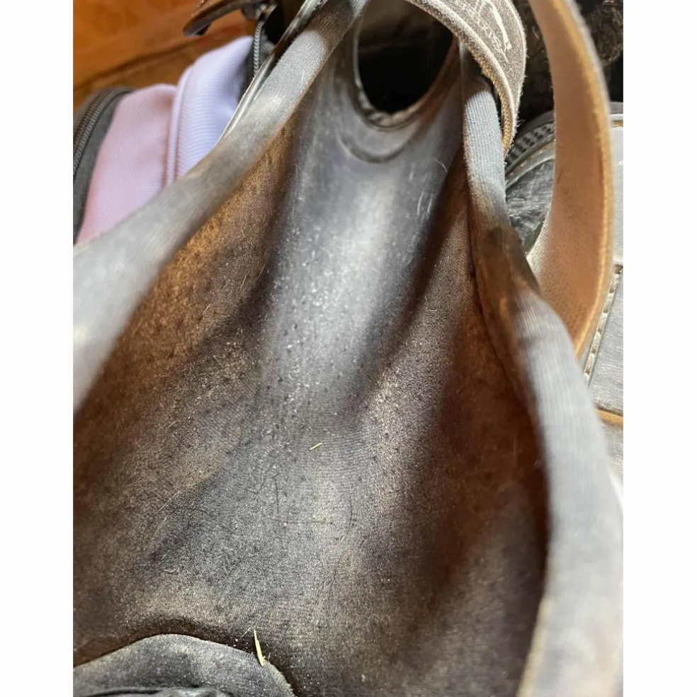 Guêtres veredus carbon gel vento poney