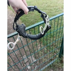 Hackamore