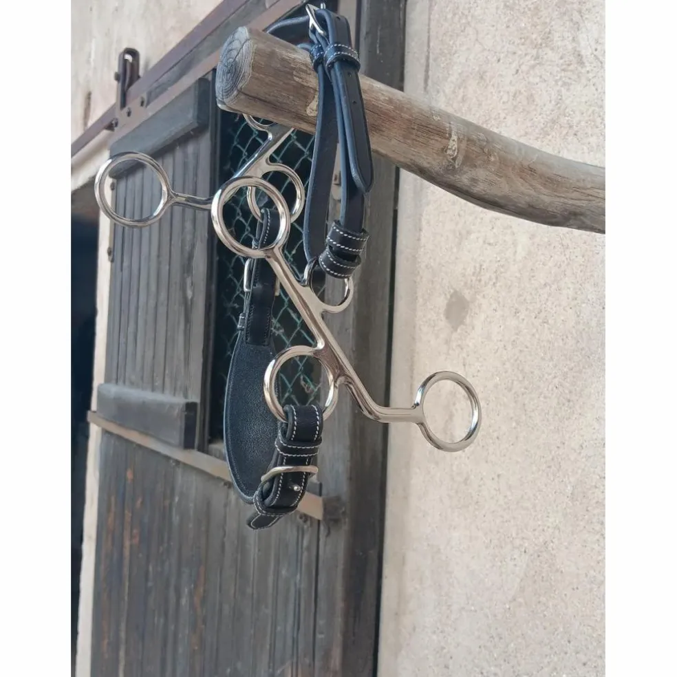 Hackamore cuir branches courtes