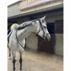 Hackamore Dyon